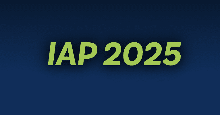 IAP - Internal Audit Practicioner
